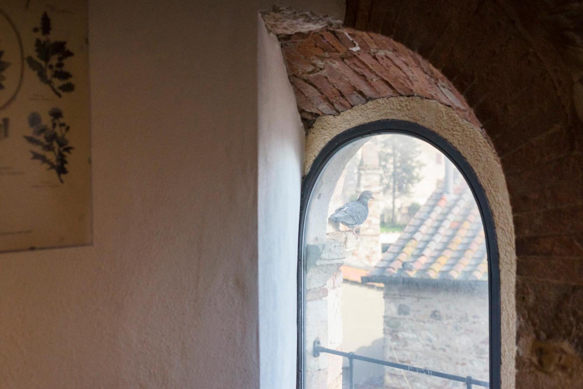 Il Chiostro Appartamenti & Suites Suvereto Eksteriør billede